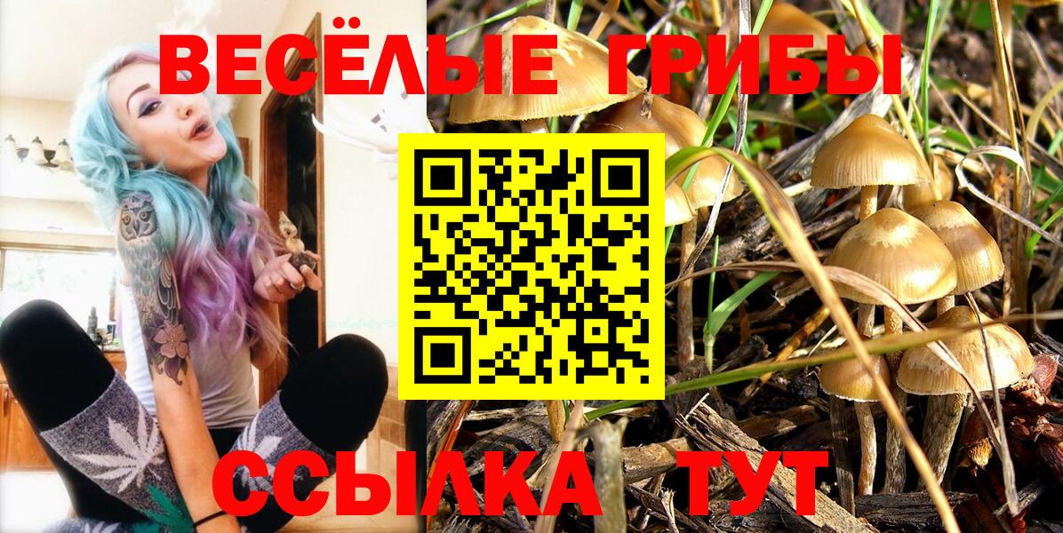 Псилоцибиновые грибы ЛСД Нефтеюганск